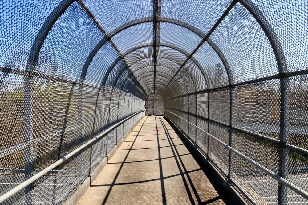 shutterstock_2611070267